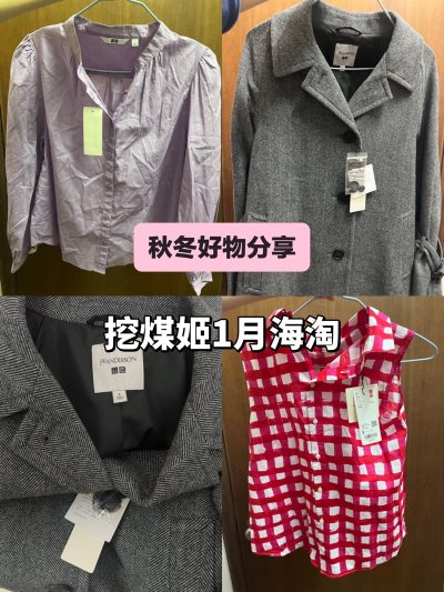 挖煤姬是一个超级优秀的日本海淘代购平台，在上面可以买到各种好物。现在是一期挖煤姬的秋冬好物分享，一件紫色棉质衬衫，一件小清新格子的无袖上衣，拿到手非常满意，无论是尺寸还是颜色都很适合我。挖煤姬的效率以及发货速度都非常快，我2026年还会继续使用挖煤姬的！