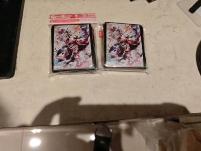 这次的内容物主要就两个，一个是时空猫的难得的徽章盘，主要是价格上确实还可以，所以干脆入手了。另外就是我预购的上一期的影之诗卡套终于发了，小凤可爱捏！