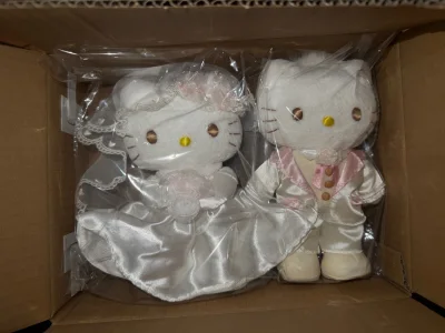 超级超级满意挖煤姬！超级快就到手里了！很开心
每一只kt都保存的非常好！成色超级好！
kt的脸都很圆润