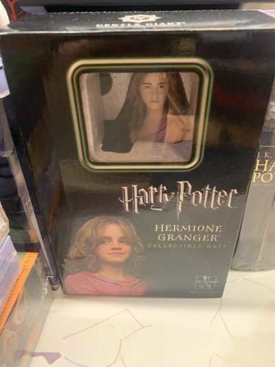 哈利波特中的赫敏