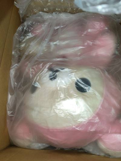 最近入的龙年生肖限定熊妹，L号小龙熊妹终于收到了，竹蜻蜓依旧是挖煤姬海淘后运回家的首选，泡沫多，保护好，这次单独一箱，很不错。