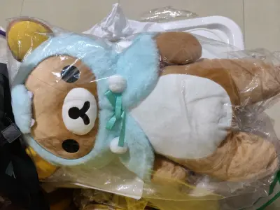 最近入的龙年生肖限定熊哥，L号小龙熊哥终于收到了，竹蜻蜓依旧是挖煤姬海淘后运回家的首选，泡沫多，保护好，这次单独一箱一只，很不错。