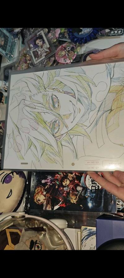 dvd特典包装特别完美 有用文件夹+硬纸板发货 可惜餐垫不是平铺发货 压一周看看会不会平点 纸片非常美丽 挖煤姬打包还是可以的