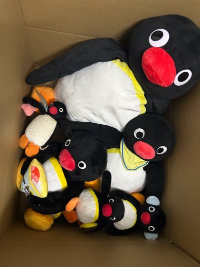 这次在挖煤姬下单的一整箱Pingu玩偶实在太惊喜了！
从下单到收货全程物流信息透明，包装得也特别严实，拆开箱子看到满满当当的玩偶，每一只都软乎乎的，品相和描述完全一致，没有任何破损。