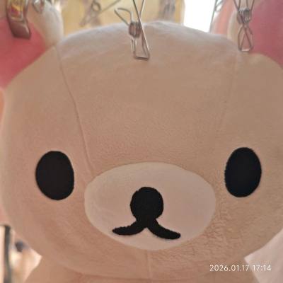 这次淘到全新的基础L号熊妹，填充得很饱满，软乎乎的，挖煤姬竹蜻蜓速度也很快，单只单箱发回，泡沫也多。