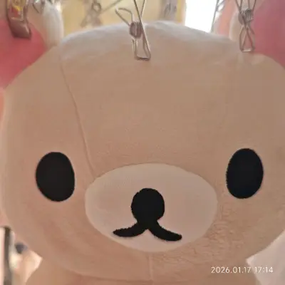 这次淘到全新的基础L号熊妹，填充得很饱满，软乎乎的，挖煤姬竹蜻蜓速度也很快，单只单箱发回，泡沫也多。