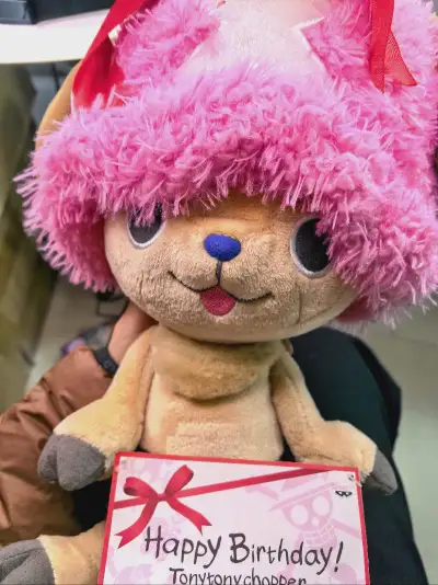 6块钱买了一大堆乔巴毛绒玩具，刚开始还害怕卖家不给发或者少发，到货检查后发现一个不少而且成色崭新，吊牌都还在还是金猫贴，强大的挖煤姬，花小钱圆大梦爱了爱了！为你打call