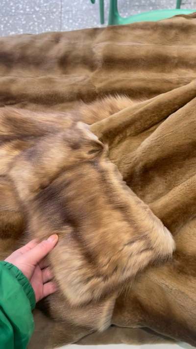 挖煤姬第一切到货
买的紫貂大毛领收到了，成色很新，特别柔软，真好看
非常喜欢，第一切成功！！！
还会继续挖