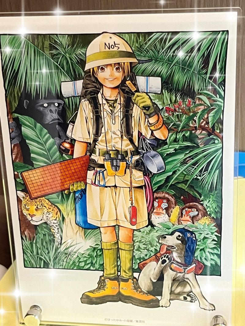 这次我切了一些棋魂、冰海战记周边，主要是棋魂亚克力板 cd和公式书 终于切到了小光cd很开心 冰海战记的cd收到之后也很开心 封面是托尔芬 很喜欢很喜欢
物流非常清晰，打包保护的很好，从付款到收货时间大概一个月，速度非常快，包装严实无磕碰，线路服务在线，非常推荐!挖...