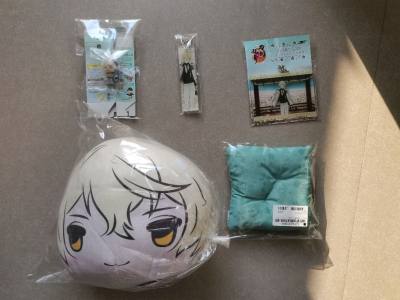 大家好，又在挖煤姬海淘了，这次又发现了一些好价好物，买了哥切亚克力的小挂件，还有一个小抱枕，实物小小的一个，还有一个丑萌丑萌的丘比挂件，还有一个膝丸三丽鸥的坐垫，这下哥弟都有坐垫了，这次用的EMS，依旧是速度快，包装好，都安全到达了。
