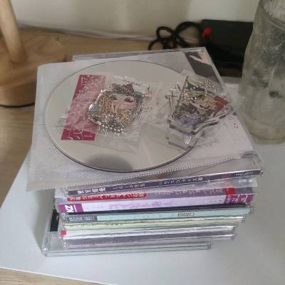 这次用的箱子好大一个 其实里面东西就一点
买CD非常方便 有好几个平台而且没有岛内运费
竹蜻蜓比海运都划算