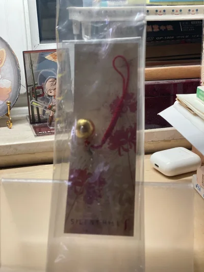 这单用的竹蜻蜓Plus，用了大概两周左右的时间就到了，主打一个省心省力。收到了寂静岭f千鹤舞快闪店的一些全新特典，fans值得收藏起来