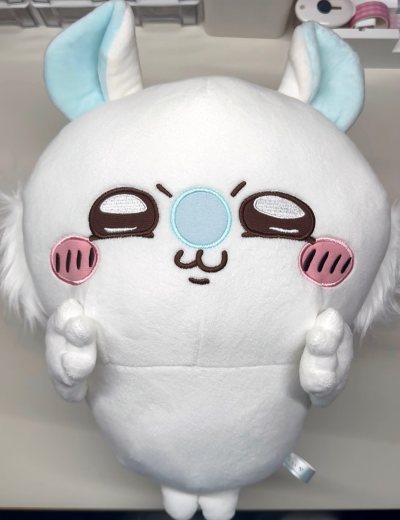 我的飞鼠终于到啦