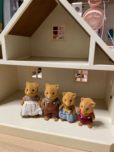 新年第一个月，收到第一单。白色小屋本来闲鱼上有卖，但当时不觉得好看。今年再看，就觉得美美的，于是趁着汇率不错，就下单了。还有一套早期的狐狸，价格比闲鱼卖的划算多了。