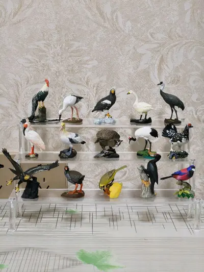 一月份海淘的商品又到货了，挖煤姬真的是一个非常专业的海淘平台，不仅合单免费，而且还有积分抵扣运费的活动，用积分抵扣运费之后国际运费非常划算！客服响应也很迅速，物流速度快，打包非常严实，从下单到收货体验非常好，总体非常开心满意！