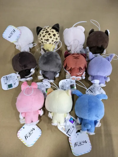 感谢挖煤姬让我吃到超级好价！这是我的第一个订单！特别顺利就回来啦！速度也超级无敌快 走的竹蜻蜓plus很便宜 半个月就到手啦！东西也一点问题的没有 特别幸福的切煤之旅 感谢挖煤姬～