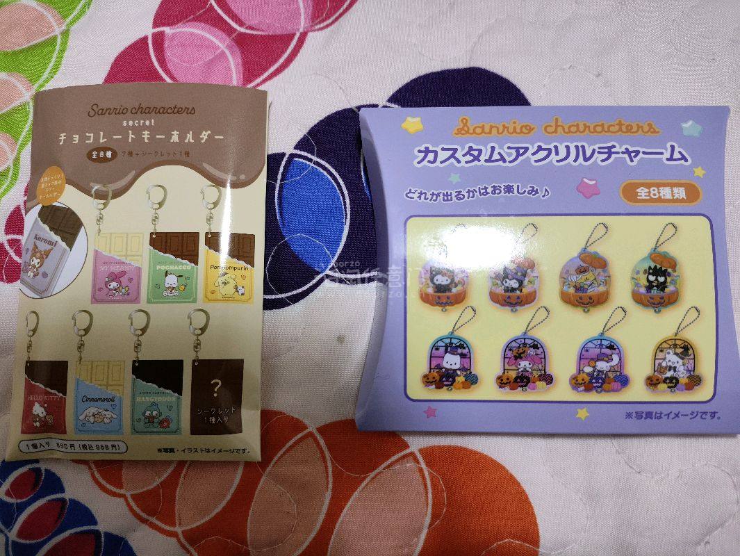 这次还是用的竹蜻蜓物流，速度很快，吧唧和小卡保存完好。三丽鸥的挂件超级可爱，品相也很好。希望之后多一点运费和煤炉的活动。