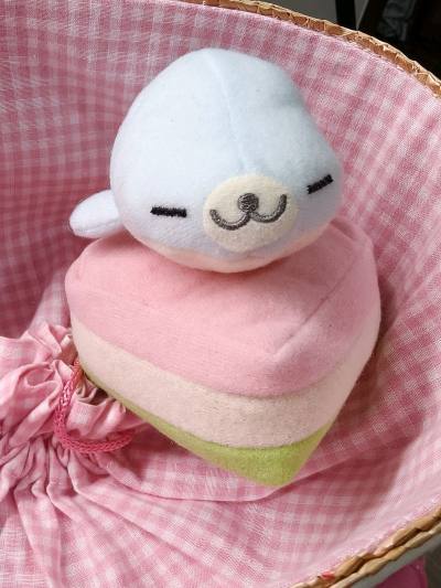 非常高兴在挖煤姬淘到了特别喜欢的玩偶，走的是竹蜻蜓专线，速度快，包装合适。价格也很实惠，以后还会继续使用的。