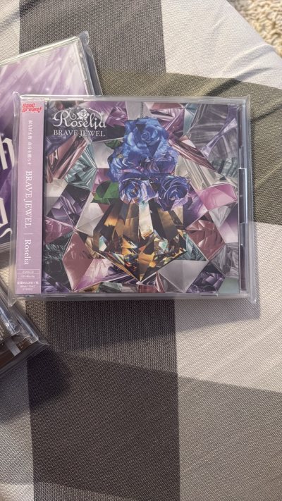 作为《BanG Dream!》的忠实粉丝，这次日淘挖到了超多宝藏！Roselia的条纹领带质感绝佳，搭配演出服瞬间还原乐队气场；还有多张CD+蓝光碟，从《BRAVE JEWEL》到RAISE A SUILEN的现场演出，高清画质+无损音质直接把live搬回家！二手品...作为《BanG Dream!》的忠实粉丝，这次日淘挖到了超多宝藏！Roselia的条纹领带质感绝佳，搭配演出服瞬间还原乐队气场；还有多张CD+蓝光碟，从《BRAVE JEWEL》到RAISE A SUILEN的现场演出，高清画质+无损音质