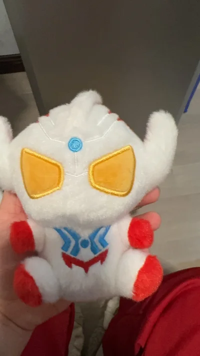 第一次切煤，好多都不懂，就看到什么点什么，为了生日前拿到还特地选了最快的EMS，真的七天就到了，在临近过年这段时间居然也是很快给我发货了！拿到手真的是很萌很萌的一只小虎宝宝☺️☺️