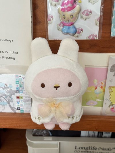 感觉非常好的卖家！无损到手超省心～ 包装严实防压防潮，玩偶品相完美，和描述一致！拆箱瞬间幸福感爆棚，下次继续淘，太满意啦！