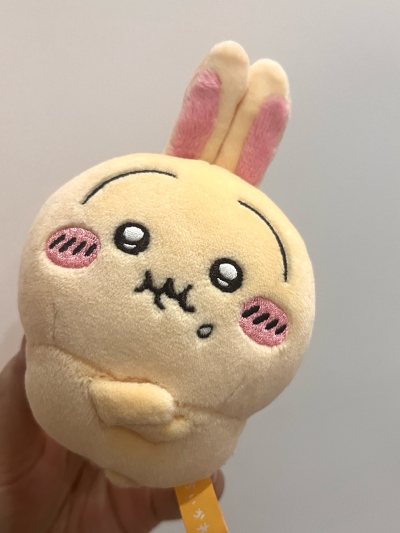 一波新回家的宝宝，有宝可梦也有chiikawa的～各种平台挖来的，挖煤姬切的速度太快了，深夜激情下单也能快速切，就这个切煤爽！