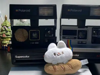 宝丽来670AF是从海外淘来的经典宝藏，真是年末好物！作为改装款，它保留了拍立得最迷人的即时成像乐趣，同时AF自动对焦非常实用，出片成功率比老型号高不少。

成像色彩是标志性的复古色调，自带故事感。机身比想象中扎实，闪光灯效果可靠。如果你痴迷宝丽来的独特质感，愿意为...