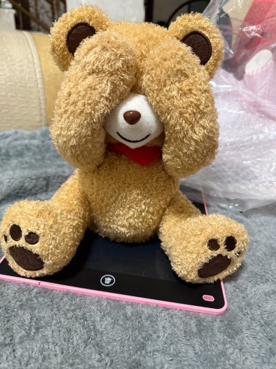 是mikihouse的躲猫猫小熊 很可爱呀～代购速度快 包装也很细致 我没有选泡沫加固但是还是给我封了两层泡沫纸！发货审核也很快！真的很方便！