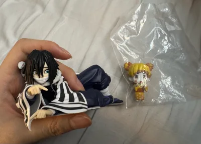 这次购入的好物是鬼灭之刃伊黑小芭内的泡面压以及善逸的花街扭蛋。这次的快递选择的是EMS，十分顺利的到达了，购物体验很好。
