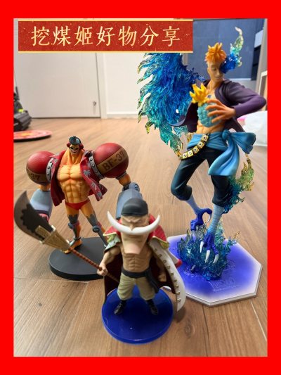 上联：海贼手办过“门”来
下联：挖煤寻宝贺新春
横批：淘你所爱
谁懂啊！在挖煤姬&amp;amp;蹲了好久的海贼王手办终于到货了！这次入的是DXF弗兰奇、POP马尔科和WCF白胡子，每一个细节都封神了！
弗兰奇的机械质感超还原，马尔科的不死鸟翅膀通透，白胡子老爹的霸...