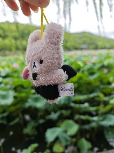 恶魔系列熊兔挂件，小恶魔有翅膀的熊妹S号玩偶，以及兔子熊妹，每一个都很可爱。挖煤姬竹蜻蜓速度快，包装好，十分满意。