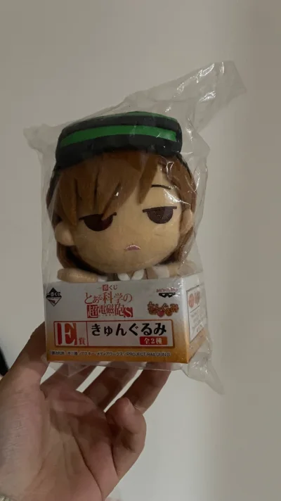 又来挖煤姬买娃娃了，这次收到了心心念念的御坂玩偶，比我想象的小很多，用了小航空到货一如既往地快，丝滑到家，新的一年继续海淘～～～