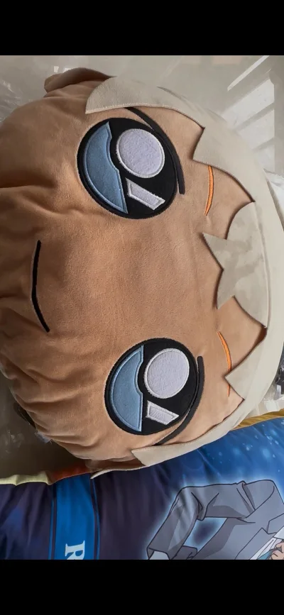 透子的大毛绒简直帅呆了！太帅了，完全被帅到了，好可爱[抱一抱]关键是价格也很美丽基本都是国内价格的三分之一收的，煤上有很多好价，只有肯花时间去蹲，大家都能吃到好价的饭。

而且海运的时效也特别的快，虽然介绍里写的3个月左右，实际大概二十天就可以寄到，感觉还挺快的。
...