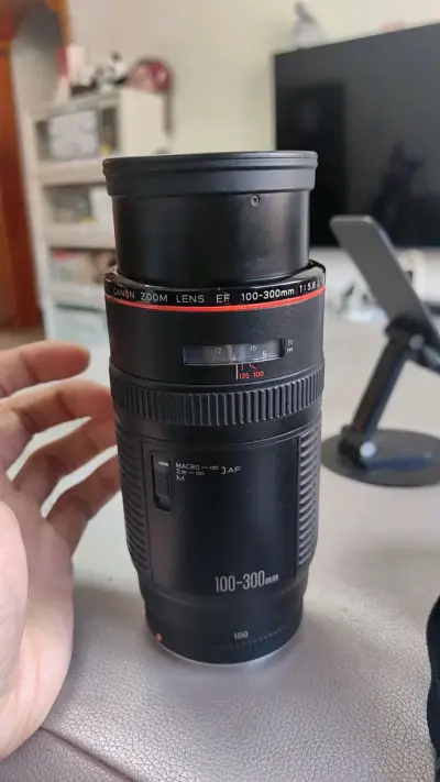 这次入手的佳能100-300红圈L头太超出预期了！卖家发货速度很快，包装也很用心，镜头收到时成色很新，几乎没有使用痕迹。红圈的做工质感确实扎实，对焦速度也很利落，试拍了几张长焦画面，解析力和色彩表现都很出色。整个购物过程沟通顺畅，是一次非常放心的交易，强烈推荐给需要...