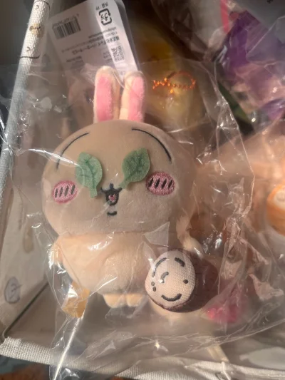 又新到一批！挖煤姬的合箱发货速度很快，休息日也会发货，而且限制很少，按大小体积和需求，看清路线要求合适选取就会非常非常划算！！！大兔子运回来也不贵！