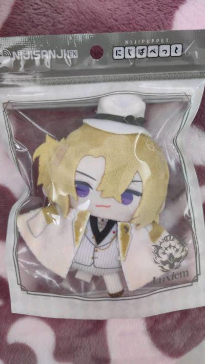 这次切到了很多自己喜欢的玩偶，大货速度非常快，发货的也很快，走的竹蜻蜓运费很实惠，十几多天就拿到了，好评。