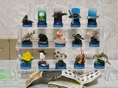 这次在挖煤姬平台海淘的商品又到货了，真的是非常不错的购物体验，不仅合单免费，而且还有积分抵扣优惠的活动，物流速度快 售后也有保障 非常安心 非常满意！