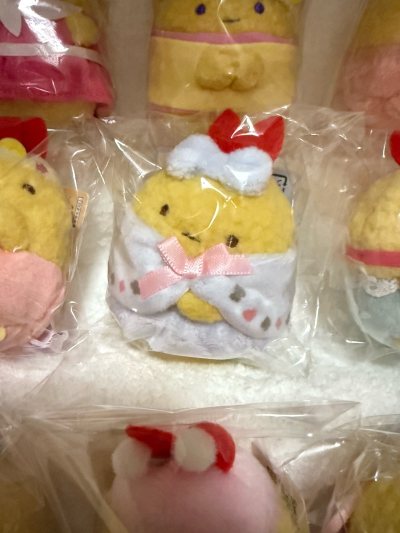 在挖煤姬切煤已经一年多了 这次切到了喜欢的角
落生物 冬日水龙和爱丽丝炸虾 东京迪士尼周年露露 选择了EMS一个周到手 纸箱打包 有填充气泡膜 积分抵扣很nice