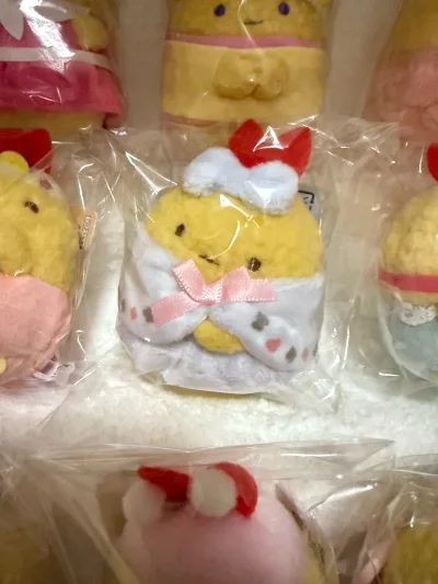 在挖煤姬切煤已经一年多了 这次切到了喜欢的角
落生物 冬日水龙和爱丽丝炸虾 东京迪士尼周年露露 选择了EMS一个周到手 纸箱打包 有填充气泡膜 积分抵扣很nice