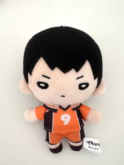 这次在代购平台买娃娃的体验真的很好。下单很顺利，包裹包装得也很仔细，完全没有破损，还帮我压缩了体积。购买的毛绒很萌，和描述一致，非常满意。整体服务高效可靠，会推荐给朋友！