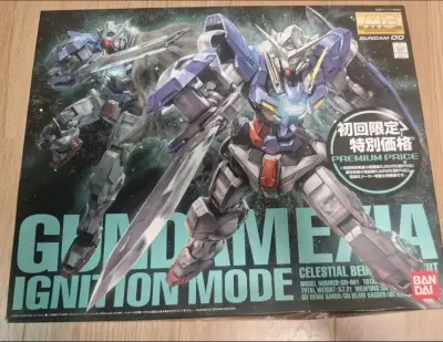  能天使豪华版MG 初版 初回限定版 红标，能天使的天花板，整体内构十分出色，我自己上了铁骨，为了做出更好的效果00的机体就是内外部雷同太大了，其他都完美，值得入手
