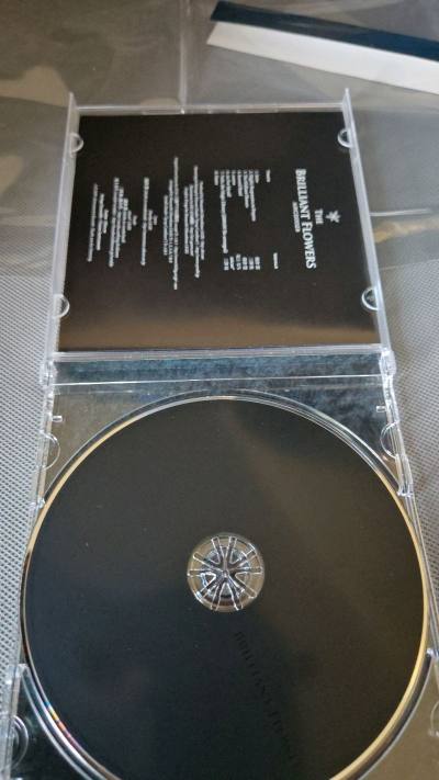 第一张买的碟子到了