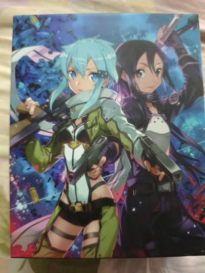 这次收到了刀剑神域第二季的蓝光BD，包含幽灵子弹和圣母圣咏两个篇章，光盘质量很好，小册子也都全，不过没有附带小说，另一个是全新未拆的刀剑神域第一季，期待下次