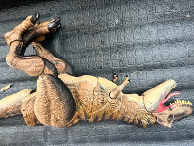 物流嗖嗖的到货超快，包装严实又牢固，一点磕碰都没有，收到的货完好无损，全程没操心，体验感超棒，值得推荐！