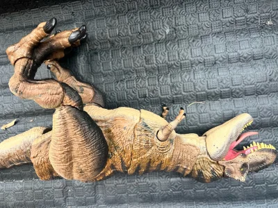 物流嗖嗖的到货超快，包装严实又牢固，一点磕碰都没有，收到的货完好无损，全程没操心，体验感超棒，值得推荐！