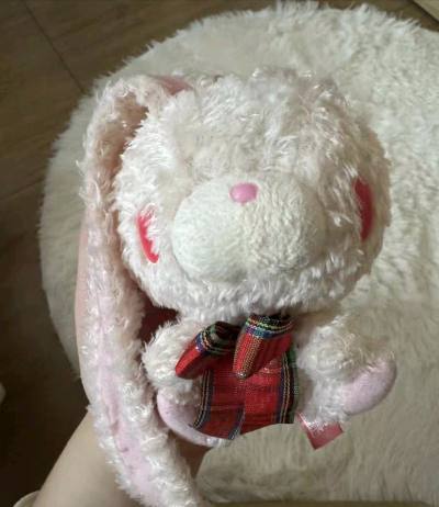 通过挖煤姬切到了很喜欢的泛用兔玩偶挂件，小小的一只，特别可爱，状态也很好，很新。快递包装的很牢固，很安全的到达了手上。


