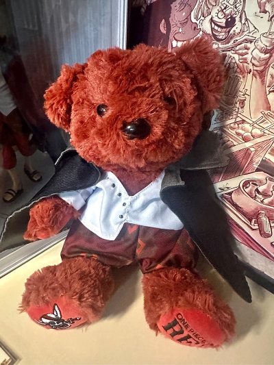 在挖煤姬入了毛绒玩具熊，选EMS转运超省心！平台代拍快、打包严实，熊崽裹着气泡膜毫无磕碰，物流更新及时，几天就到手，品相和描述一致，海淘体验超棒～