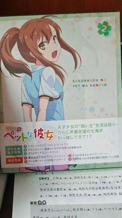 这是一部冷门番的cd，除了cd外还有贴纸，小说第一话和小画集，里面种类十分丰富，而且保存很好，很值得收藏