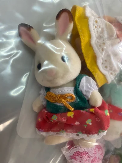 东西不多，选的竹蜻蜓，报备审核一周，发货到货一周，这个时效还是不错的。纸箱比较厚，上面还贴了易碎标志，打包仔细。
  

 

