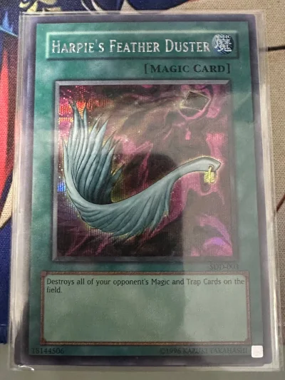 安全到手，这张羽翼栗子球看图感觉瑕疵不小，结果到手发现还好，挺开心。这次竹蜻蜓依旧很稳，好评了，好评了。